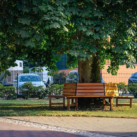 Pferdeparadies Untergruenhagen Bad Fallingbostel Ngoại thất bức ảnh