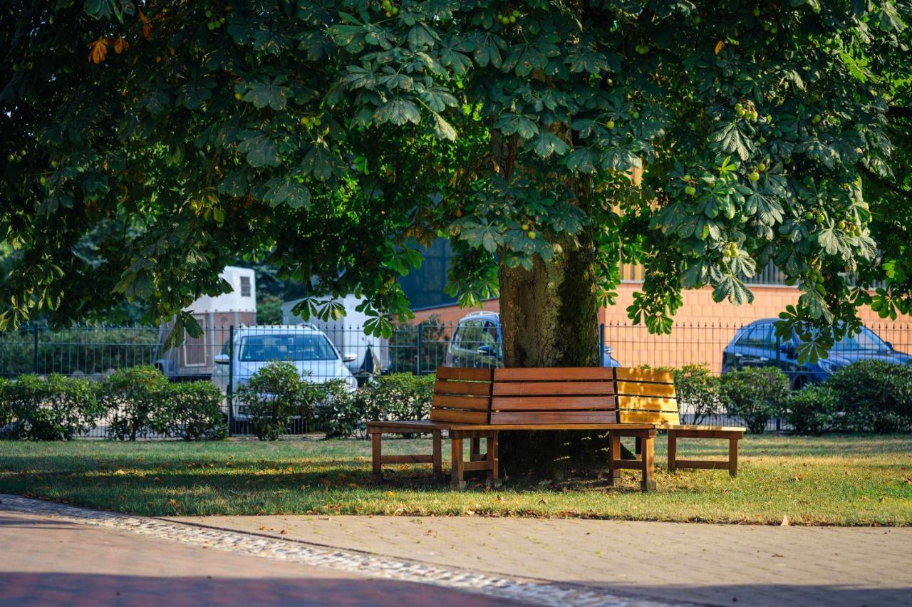 Pferdeparadies Untergruenhagen Bad Fallingbostel Ngoại thất bức ảnh